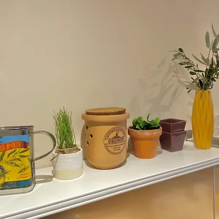 Great Flat! 12 Minute Walk From Train Station And Palais * Cannes