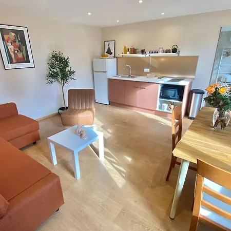 Apartament Great Flat! 12 Minute Walk From Train Station And Palais Cannes